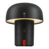Kooduu Sensa Play bärbar högtalare och lampa från JBL Antracit