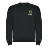 Clasica unisex tröja med rund hals Standard | Dark Lead | M | Inget reklamtryck | Inte tillgängligt | Inte tillgängligt | Inte tillgängligt