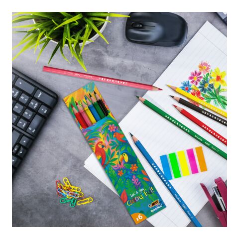 BIC® Kids Evolution® Colouring set x 6 units -Box