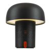Kooduu Sensa Play bärbar högtalare och lampa från JBL Antracit
