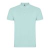 Star kortärmad pikétröja för herr Mintgrön | 2XL
