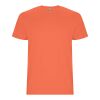 Stafford kortärmad T-shirt för herr Korall | XL
