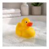 Badanka i PVC Gul