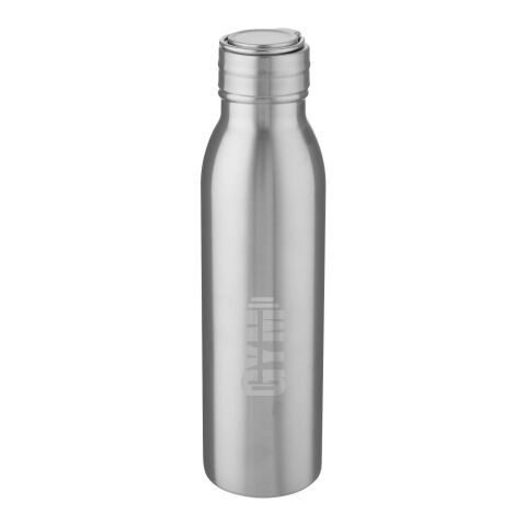Harper 700 ml sportflaska i rostfritt stål med metalloop Silver