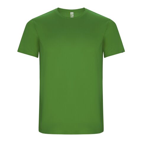 Imola kortärmad funktions T-shirt för herr Ormbunkegrön | L