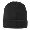 Irwin beanie Svart