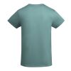 Breda kortärmad T-shirt för barn Dusty Blue | 5/6