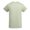 Breda kortärmad T-shirt för barn Standard | Mist Green | 9/10 | Inget reklamtryck | Inte tillgängligt | Inte tillgängligt | Inte tillgängligt