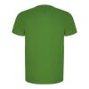 Imola kortärmad funktions T-shirt för herr Ormbunkegrön | L