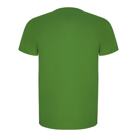 Imola kortärmad funktions T-shirt för herr Ormbunkegrön | L