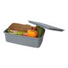 Dovi lunchlåda i återvunnen plast Grå