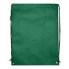 Evergreen icke-vävd väska med dragsko 5 l av återvunnen GRS Standard | Grön | Inget reklamtryck | Inte tillgängligt | Inte tillgängligt | Inte tillgängligt