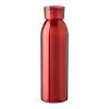 Stainless steel single-walled drinking bottle 650 ml Cindy Vit
