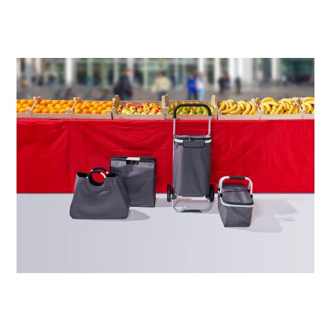 Kylväska/-trolley i polyester (320-330 g) Grå | Inget reklamtryck | Inte tillgängligt | Inte tillgängligt