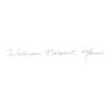 Waterman EXPERT CT penna svart silver
