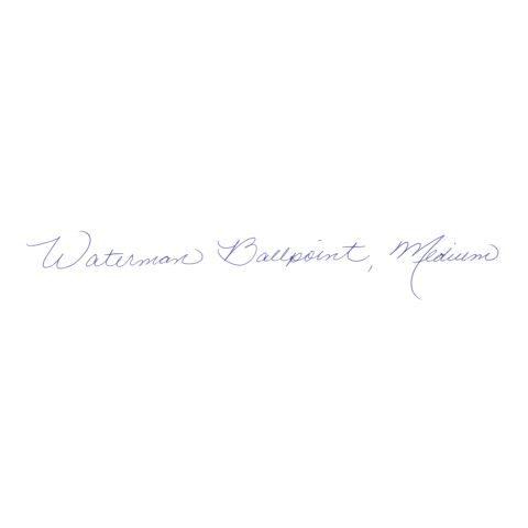 Waterman EXPERT CT penna svart silver